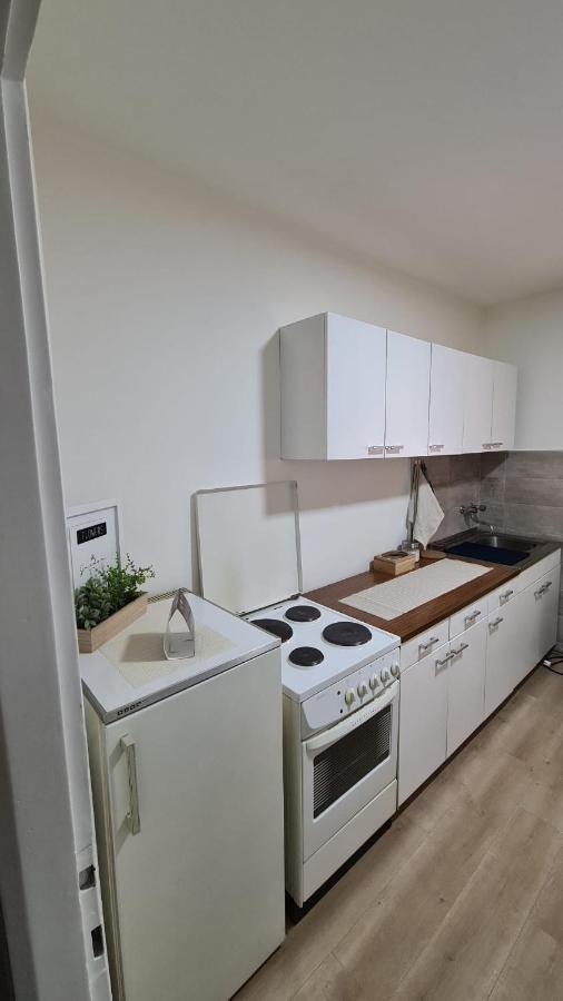 Apartman Pavlovic เลสโควัซ ภายนอก รูปภาพ